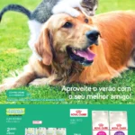 Folheto Continente especial Verão com os Animais (2022)